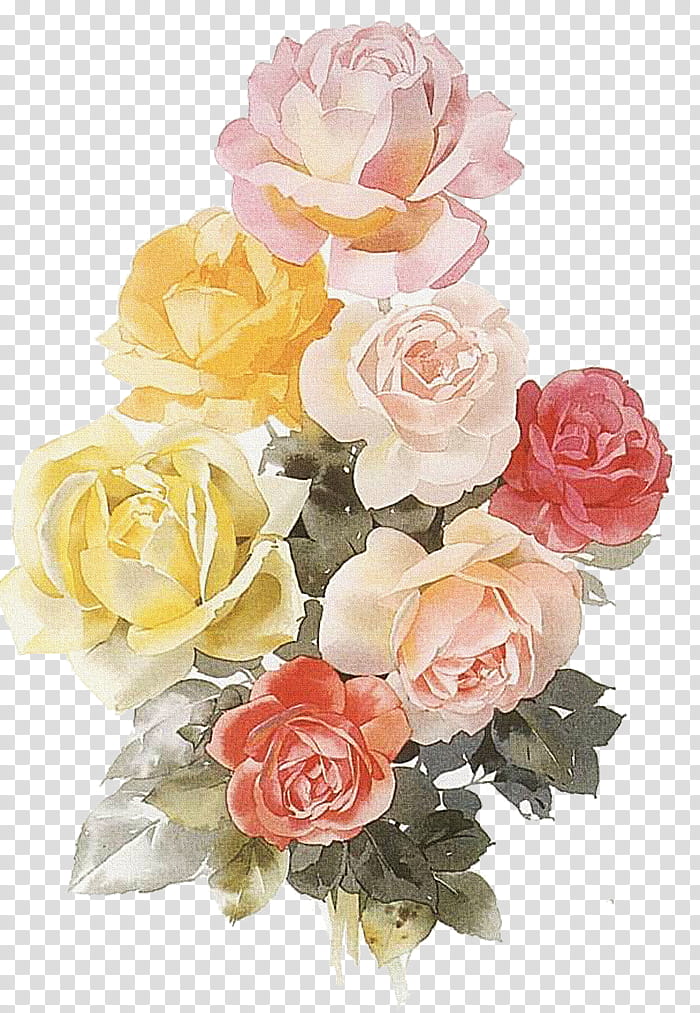 To My Dear Friends s, white and yellow flower illustration transparent background PNG clipart