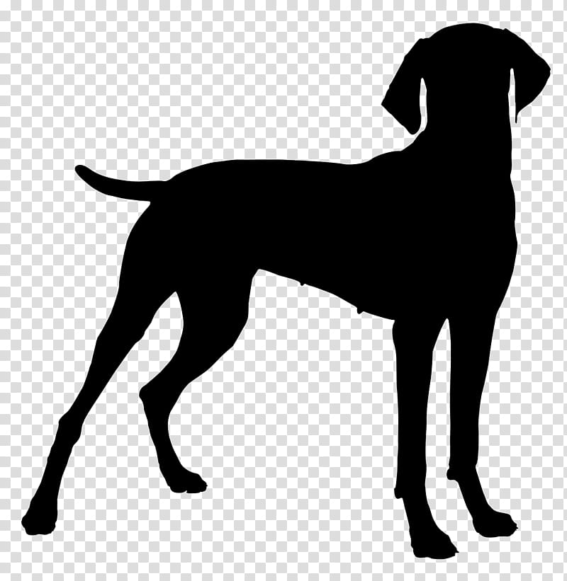 Bulldog Logo, Vizsla, Jack Russell Terrier, Bulldog, Hunting Dog, Pet, Sporting Group, Rare Breed Dog transparent background PNG clipart