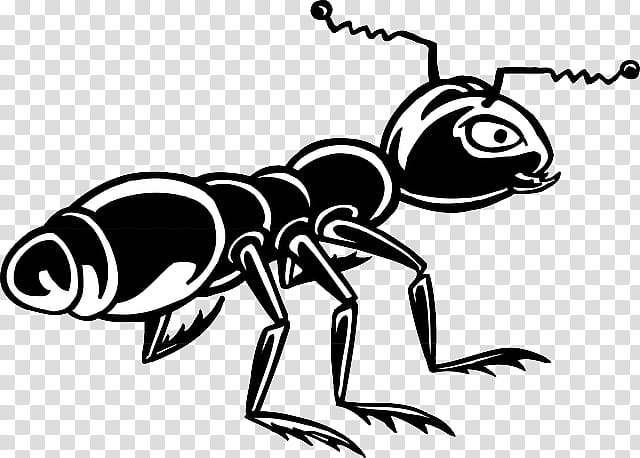 Ant, Insect, Pest, Cartoon, Membranewinged Insect, Line Art, Fly, Coloring Book transparent background PNG clipart