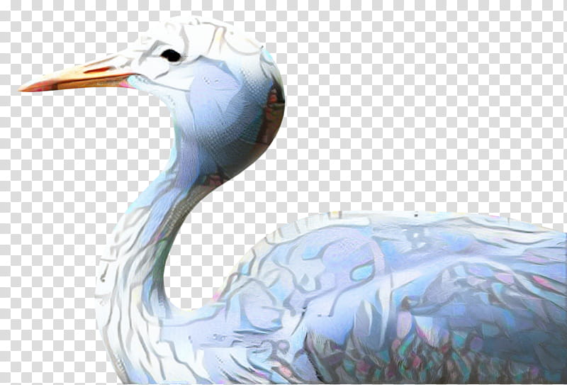 Crane Bird, Seabird, Beak, Water, Water Bird, Neck, Microsoft Azure, Great Blue Heron transparent background PNG clipart