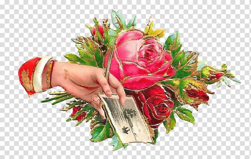 Hands and Flowers s, person holding a white card besides on red rose art transparent background PNG clipart