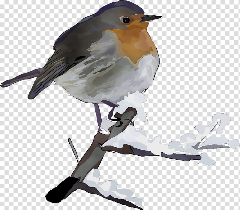 bird european robin beak old world flycatcher robin, Watercolor, Paint, Wet Ink, Songbird, Perching Bird transparent background PNG clipart