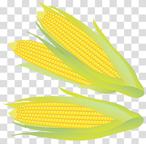 Watercolor Plant, Paint, Wet Ink, Corn On The Cob, Corn Kernel, Sweet Corn, Maize, Commodity transparent background PNG clipart thumbnail