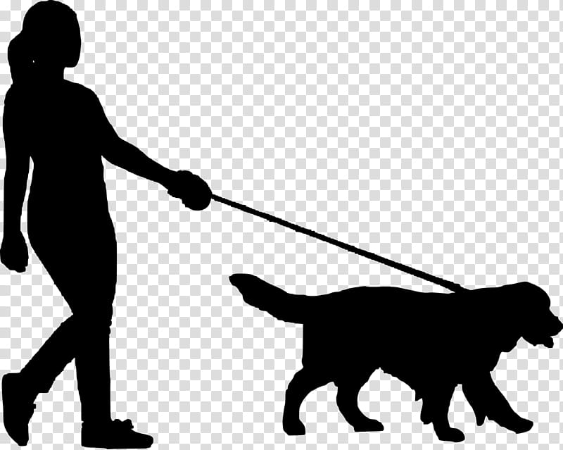 Dog Sitting, Dog Walking, Pet, Silhouette, Pet Sitting, Leash, Person, Dog Park transparent background PNG clipart