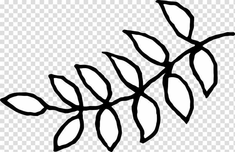 Floral Leaf, Line Art, Plant Stem, Plants, Black M, Blackandwhite, Branch, Text transparent background PNG clipart