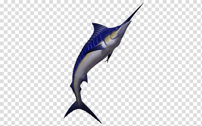 Shark Fin, Swordfish, Marlin, Atlantic Blue Marlin, Billfish, Cartilaginous Fishes, Striped Marlin, Sailfish transparent background PNG clipart