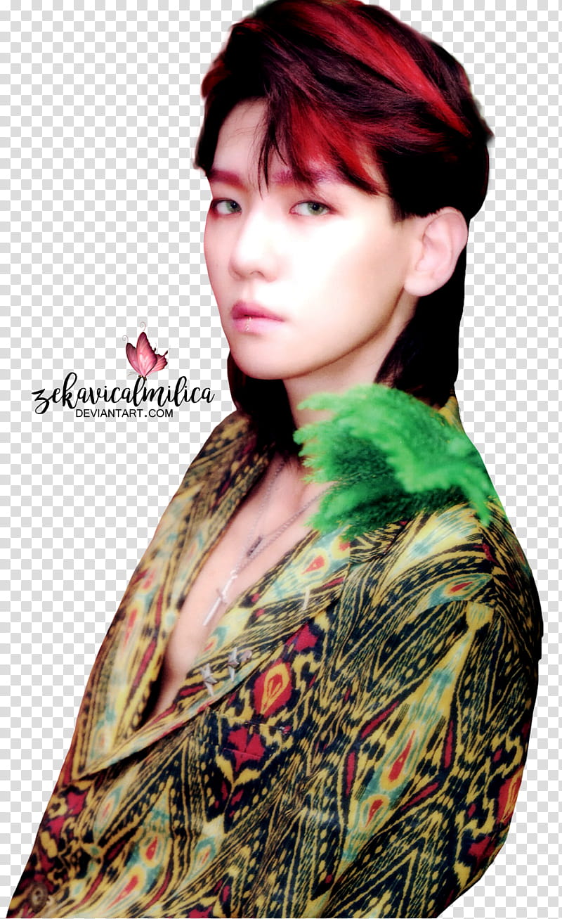 EXO Baekhyun The War transparent background PNG clipart