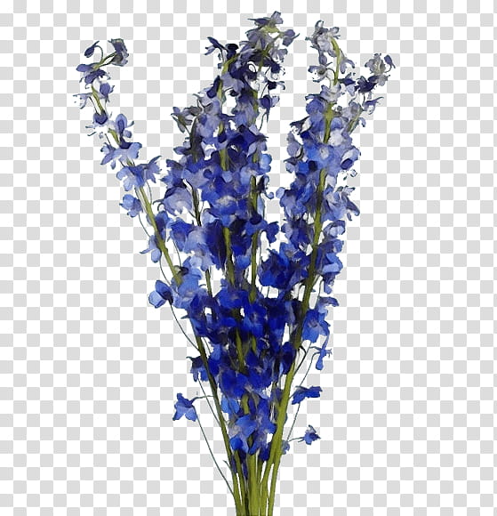 Artificial flower, Watercolor, Paint, Wet Ink, Blue, Plant, Lavender, Delphinium transparent background PNG clipart
