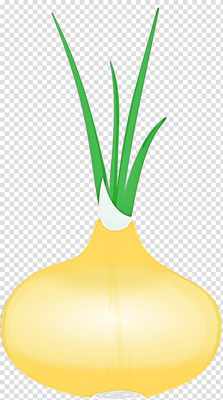 vegetable yellow allium plant leaf, Line, Onion, Amaryllis Family, Leek, Plant Stem, Chives transparent background PNG clipart