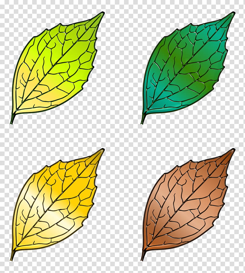 Floral Leaf, Artist, Plant Stem, Floral Design, Data URI Scheme, Plants, Wing, Tree transparent background PNG clipart