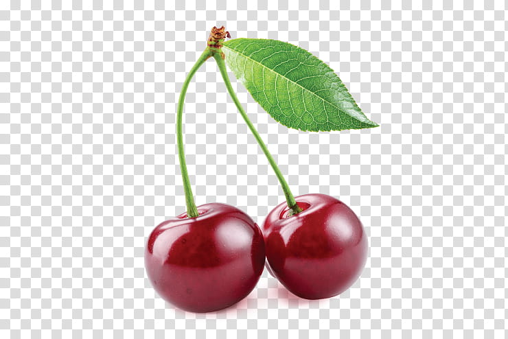 Family Tree, Cherries, Cherry Pie, Sour Cherry, Peach, Cherry Cake, Plum, Rainier Cherry transparent background PNG clipart