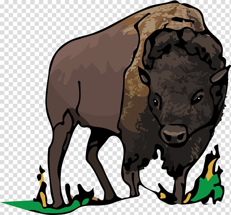 California Bear, Bison, Bull, Cattle, Mormon California, Chimney Rock National Historic Site, Ox, Animal transparent background PNG clipart