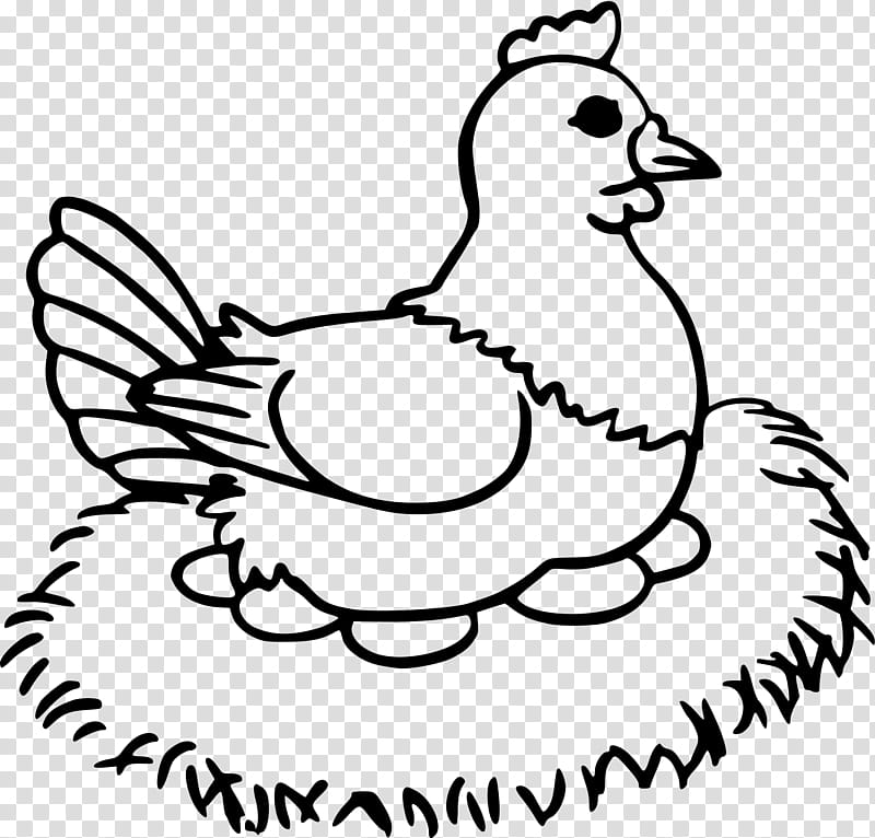 Bird Line Drawing, Chicken, Coloring Book, Rooster, Egg, Cock Egg, Duck, Food transparent background PNG clipart