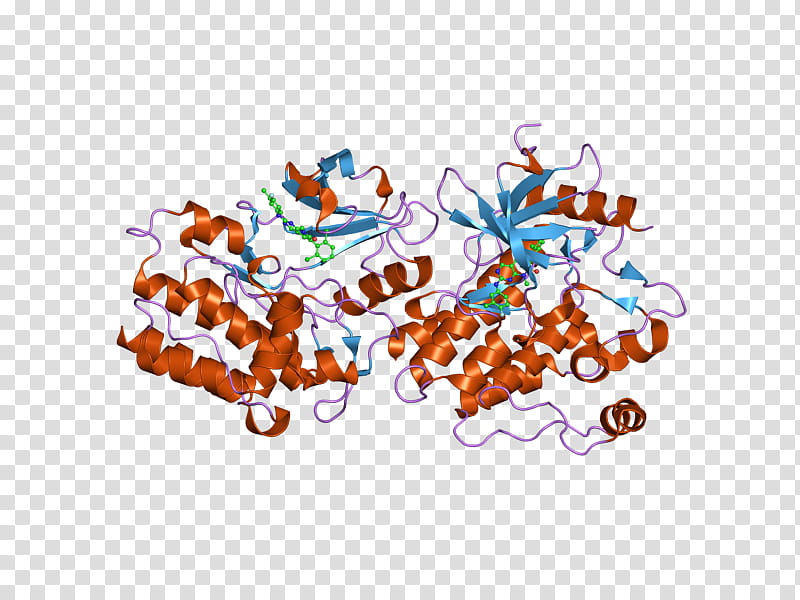 Online Shopping, Abl, Gene, Bcr, Oncogene, Kinase, Protein, Protein Kinase transparent background PNG clipart