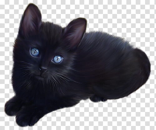 Little Black Kitty, black cat transparent background PNG clipart