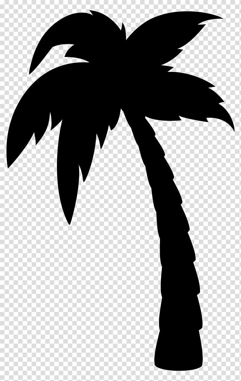 Coconut Tree Drawing, Palm Trees, Under Palm Trees, Branch, Leaf, Arecales, Blackandwhite, Plant transparent background PNG clipart