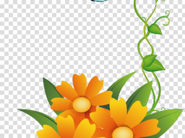 Floral Petal, Frames, Logo, Flower, Yellow, Plant, Orange, Fruit transparent background PNG clipart