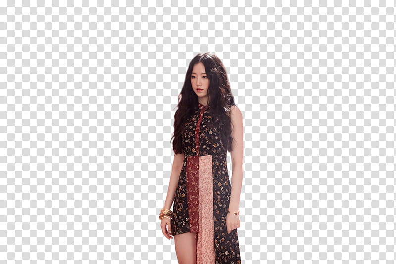 SHUHUA, woman wearing black-and-brown floral dress transparent background PNG clipart