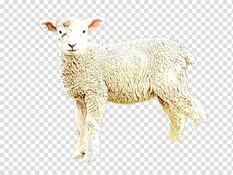 sheep goats sheep live goat, Cartoon, Live, Animal Figure, Cowgoat Family, Goatantelope, Fawn transparent background PNG clipart