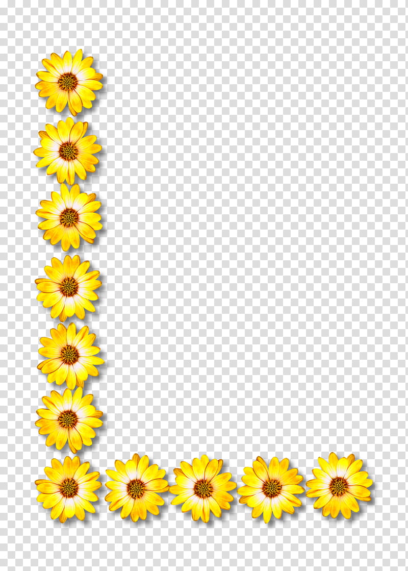 Flowers, Common Sunflower, Line Art, Floral Design, Yellow, Cut Flowers, Sunflower Seed, Plant transparent background PNG clipart