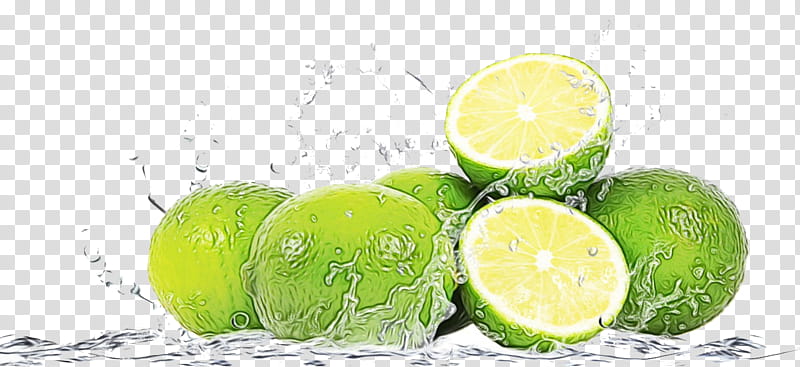 key lime lime persian lime citrus fruit, Watercolor, Paint, Wet Ink, Food, Sweet Lemon, Plant, Lemonlime transparent background PNG clipart