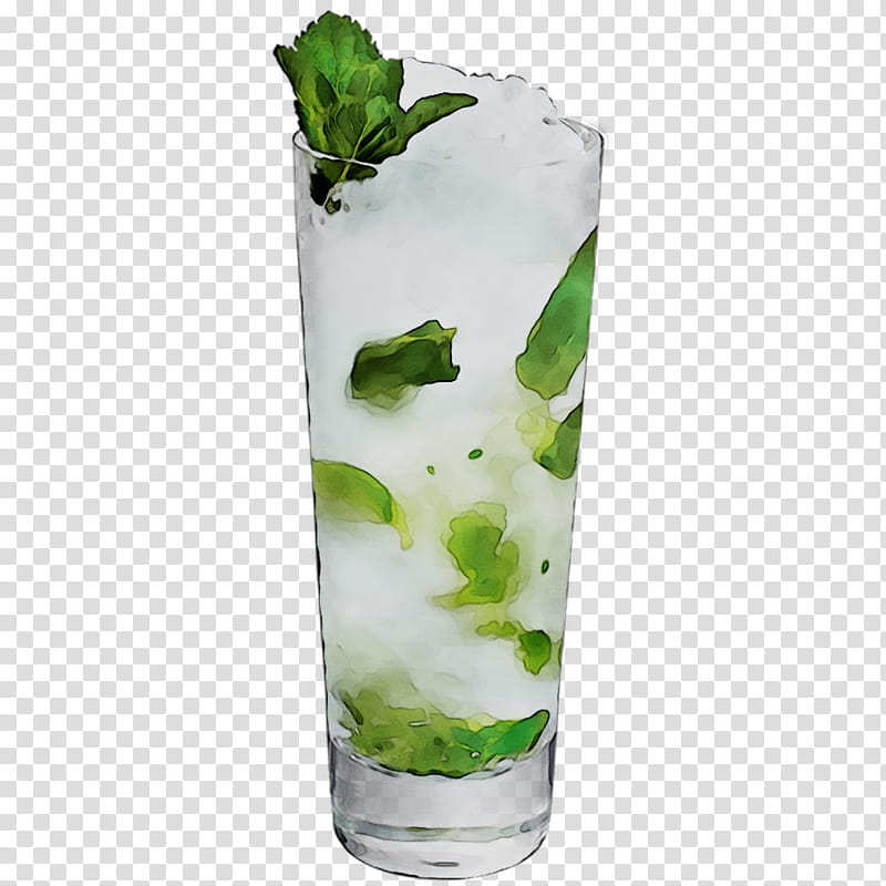 Water, Mojito, Rickey, Rebujito, Vodka Tonic, Bacardi Cocktail, Mint Julep, Spritzer transparent background PNG clipart