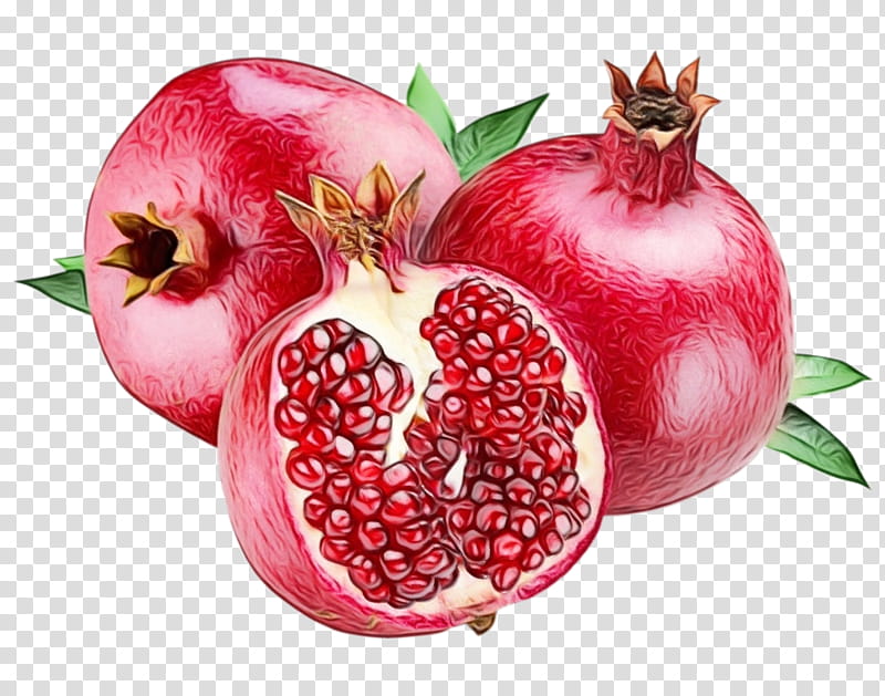 India Food, Pomegranate, Pomegranate Juice, Fruit, Bhuj, Wholesale, Herb, Kilogram transparent background PNG clipart