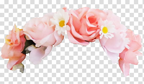 Flower Crowns S, white and pink rose flowers illustration transparent background PNG clipart