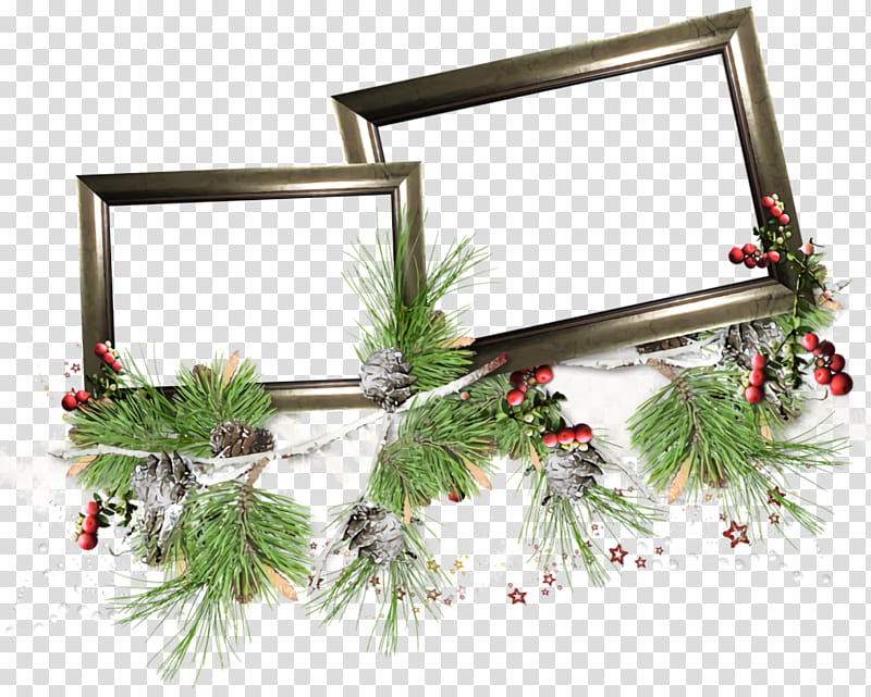 Christmas frame Christmas border Christmas decor, Christmas , Tree, Pine, Oregon Pine, Plant, Branch, Fir transparent background PNG clipart