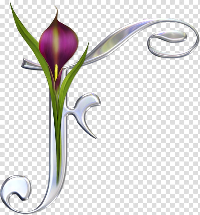 Tulip Flower, Letter, Alphabet, English Alphabet, J, Y, Q, Calligraphy transparent background PNG clipart