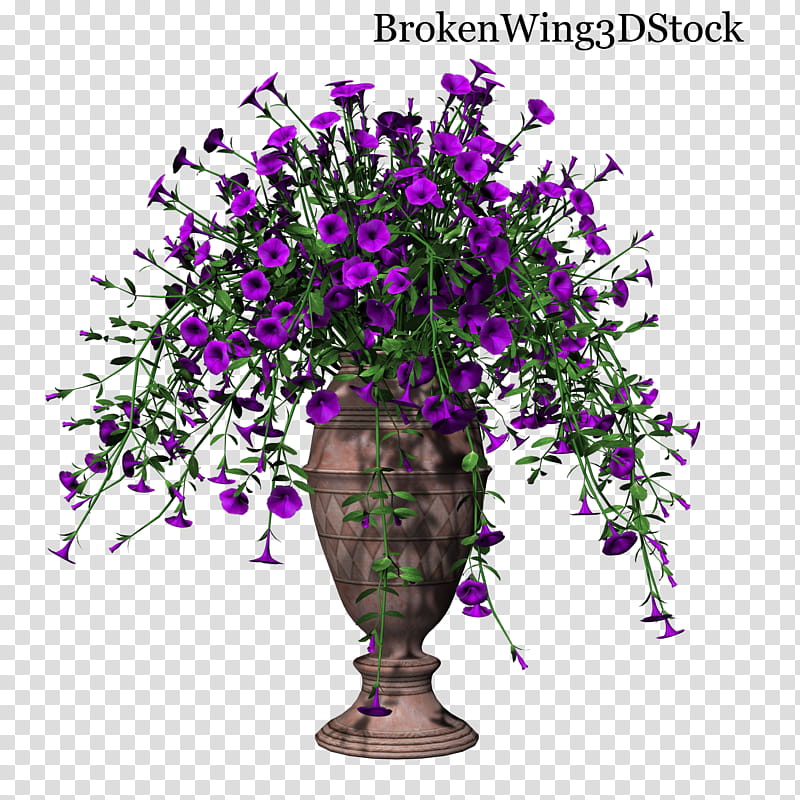 Potted Petunia , purple flowers in vase transparent background PNG clipart