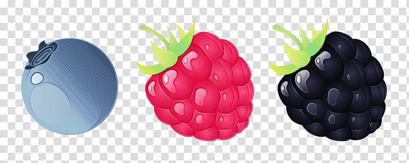 berry blackberry fruit raspberry rubus, Watercolor, Paint, Wet Ink, Grape, Food, Seedless Fruit, Frutti Di Bosco transparent background PNG clipart