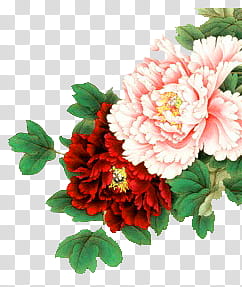 pink and red flowers with green leaves transparent background PNG clipart