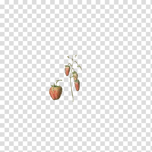 Fruit, four red strawberries transparent background PNG clipart