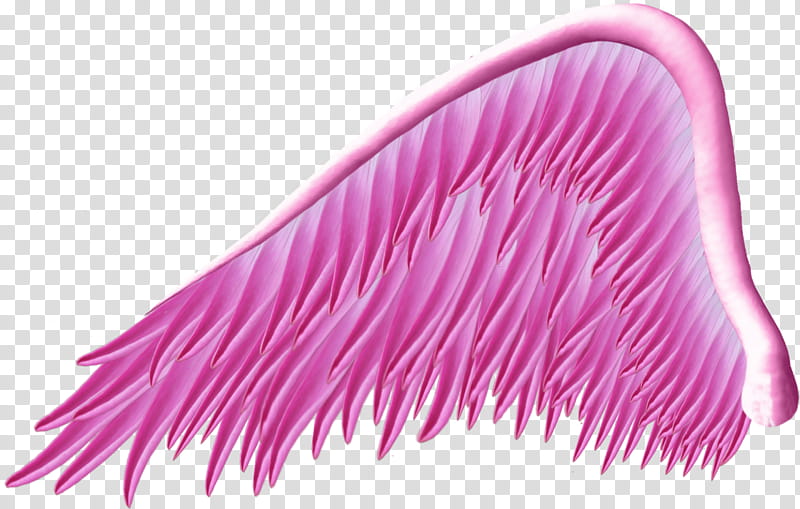 Pink Angel Wing, pink wing transparent background PNG clipart