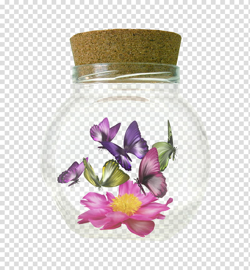Sweet Pea Flower, Butterfly, Borboleta, Bottle, Petal, Lepidoptera, Purple, Violet transparent background PNG clipart