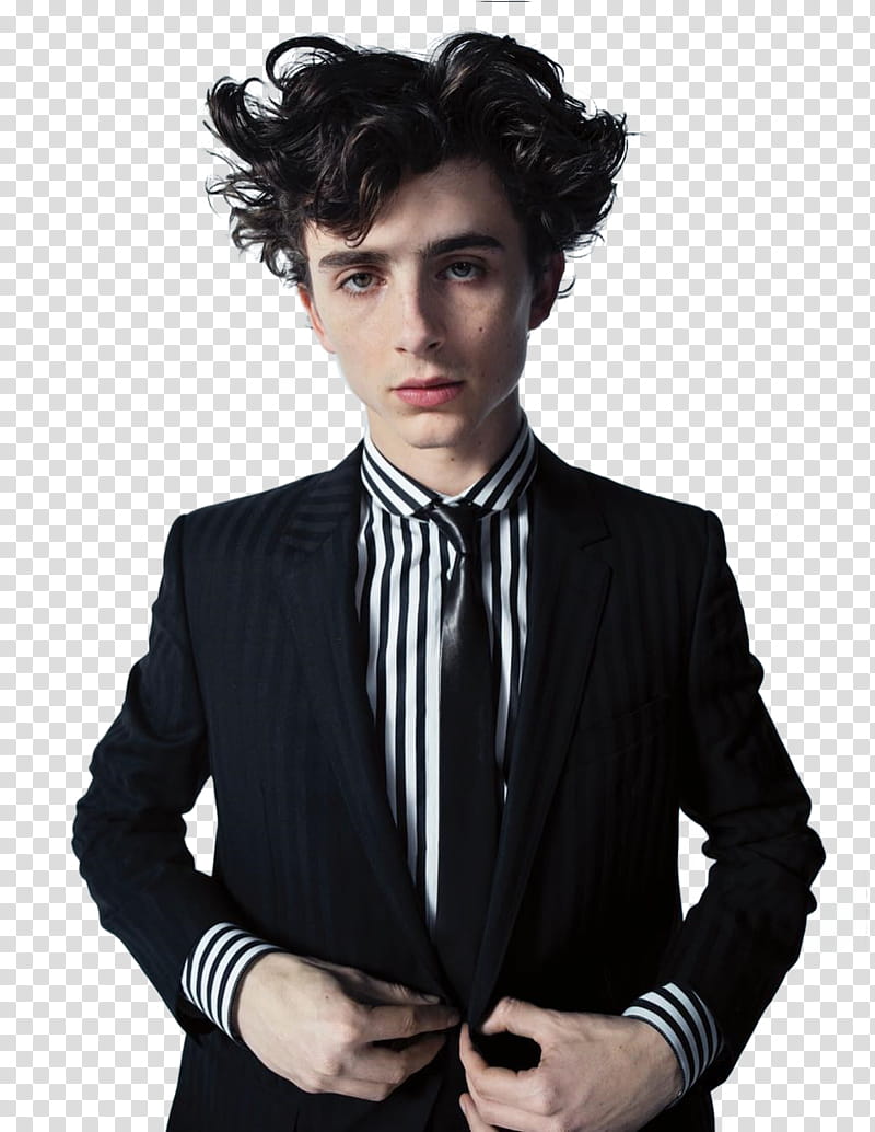 TIMOTHEE CHALAMET,  icon transparent background PNG clipart