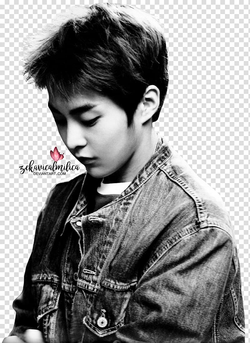 EXO Xiumin Die Jungs transparent background PNG clipart