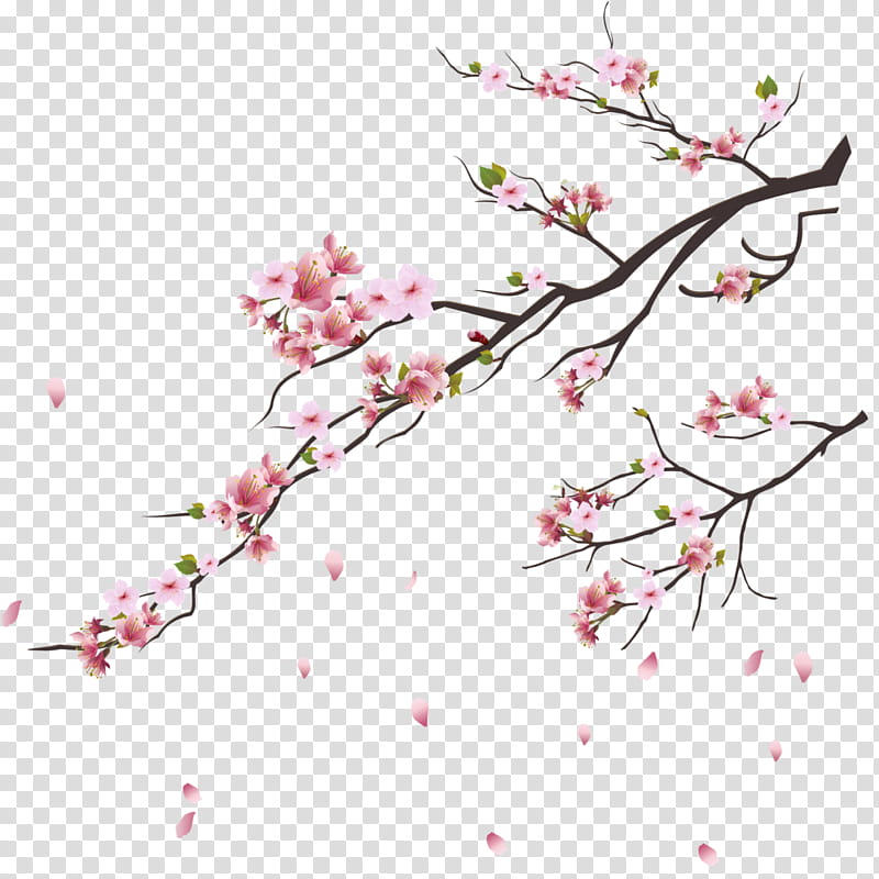 Love Yourself Flower, Bts, Love Yourself Answer, Kpop, Love Yourself Tear, Cherry Blossom, Epilogue Young Forever, Rm transparent background PNG clipart