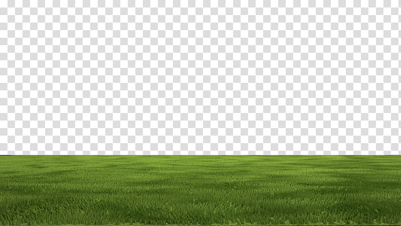 Green Grass, Steppe, Grassland, Lawn, Land Lot, Ecoregion, Real Property, Sky Limited transparent background PNG clipart