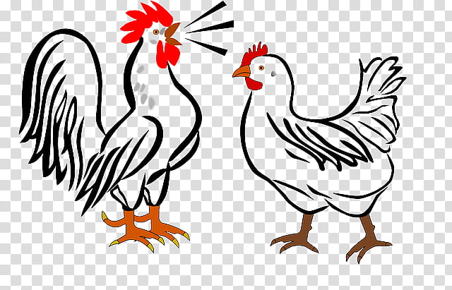 Bird Line Drawing, Chicken, Rooster, Silhouette, Chicken As Food, Beak, Poultry, Fowl, Live, Line Art transparent background PNG clipart