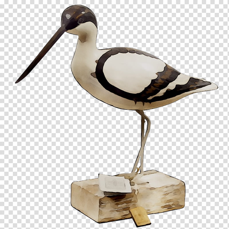 Bird, Beak, Water Bird, Seabird, Wader, Figurine, Shorebird, Hunting Decoy transparent background PNG clipart