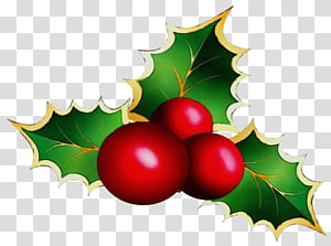 Christmas Tree Watercolor, Paint, Wet Ink, Mistletoe, Christmas 
, Common Holly, Vintage Christmas, Clip Art Christmas transparent background PNG clipart thumbnail