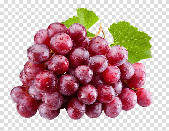 Grapes, Common Grape Vine, Red Wine, Red Globe, Juice, Fruit, Table Grape, Harvest transparent background PNG clipart