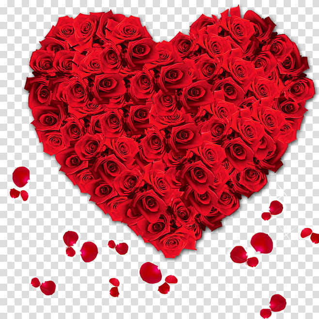 Rose Love Flowers, Romance, Valentines Day, Poster, Nosegay, Red, Petal, Floral Design transparent background PNG clipart