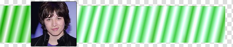 Tira verde de Leo H transparent background PNG clipart