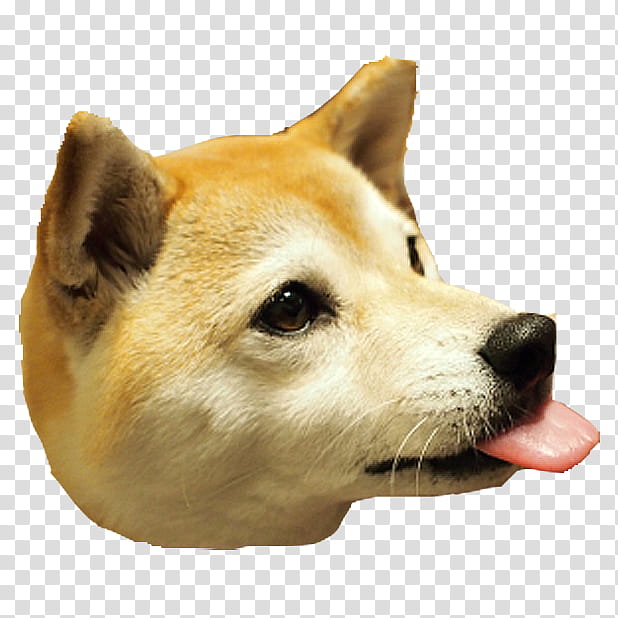 Roblox Doge Head Transparent