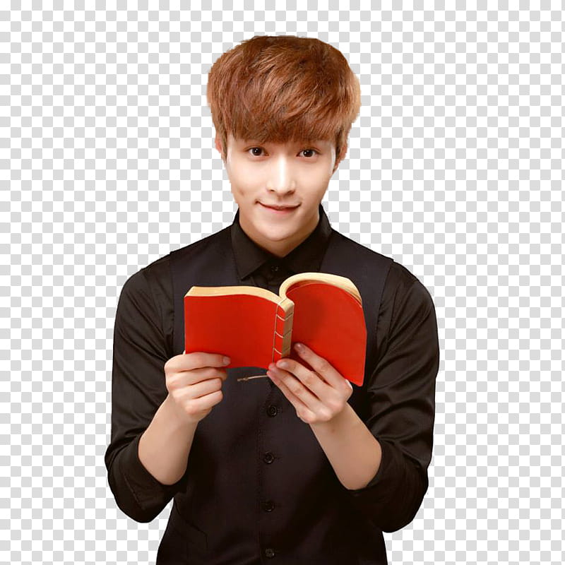 Lays PNG.