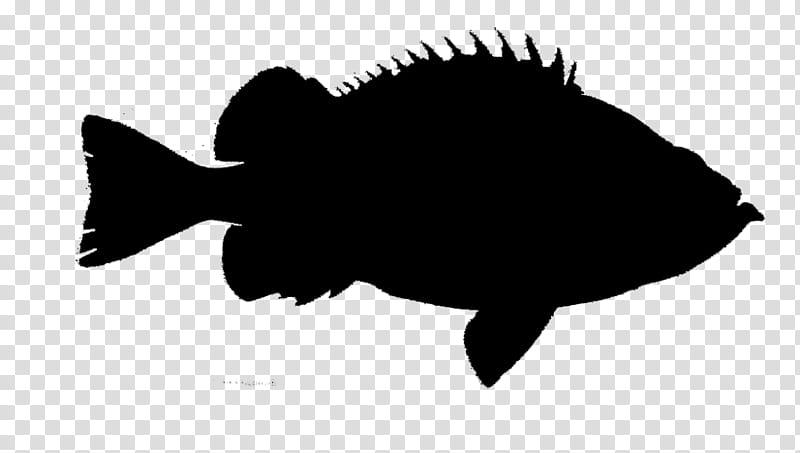 Fish, Silhouette, Black M, Bonyfish, Rayfinned Fish transparent background PNG clipart