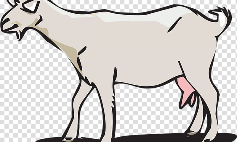 Drawing Of Family, Goat, Cattle, Cartoon, Live, Goats, Horn, Wildlife transparent background PNG clipart